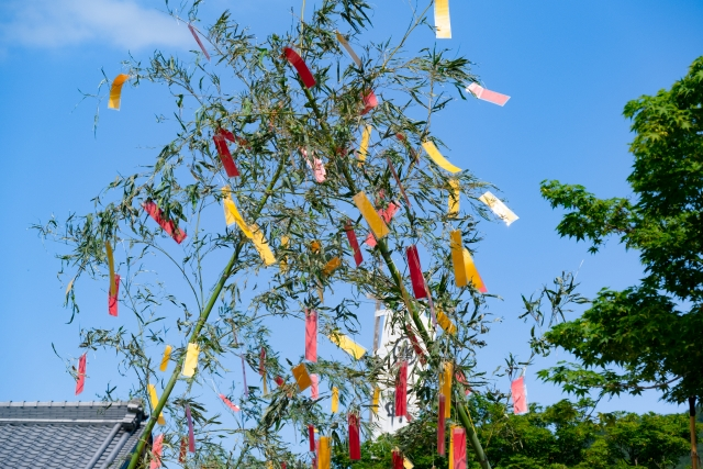 Bamboo decorated with tanzaku