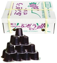 Fruit Juice 100% Jelly Box <Grape> 23P