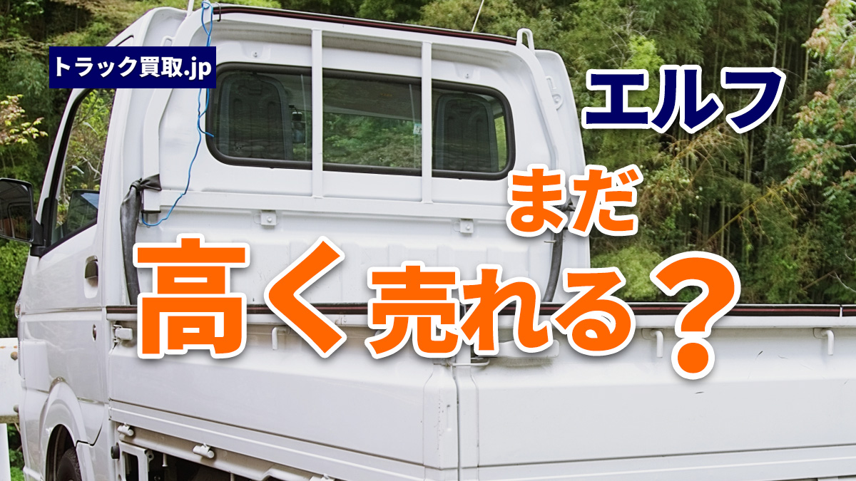 いすゞ「エルフ」の買取で押さえておきたいポイント