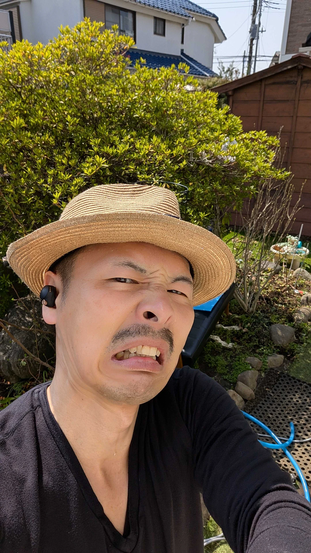 栽培写真