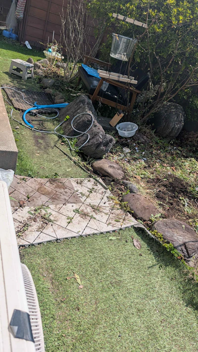 草むしりで腰がヤバい!水耕栽培の設置場所を考えるぜ 画像2