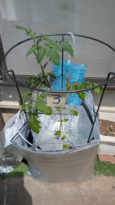 1号と3号を大改造!害虫・直射日光対策&水質センサー導入だぜ 画像2