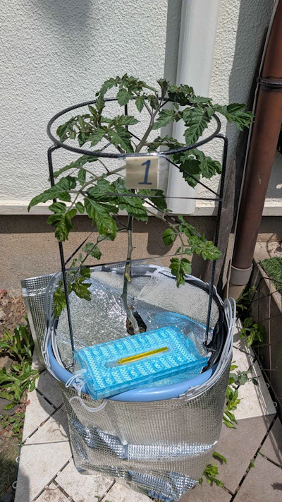1号と3号を大改造!害虫・直射日光対策&水質センサー導入だぜ 画像1