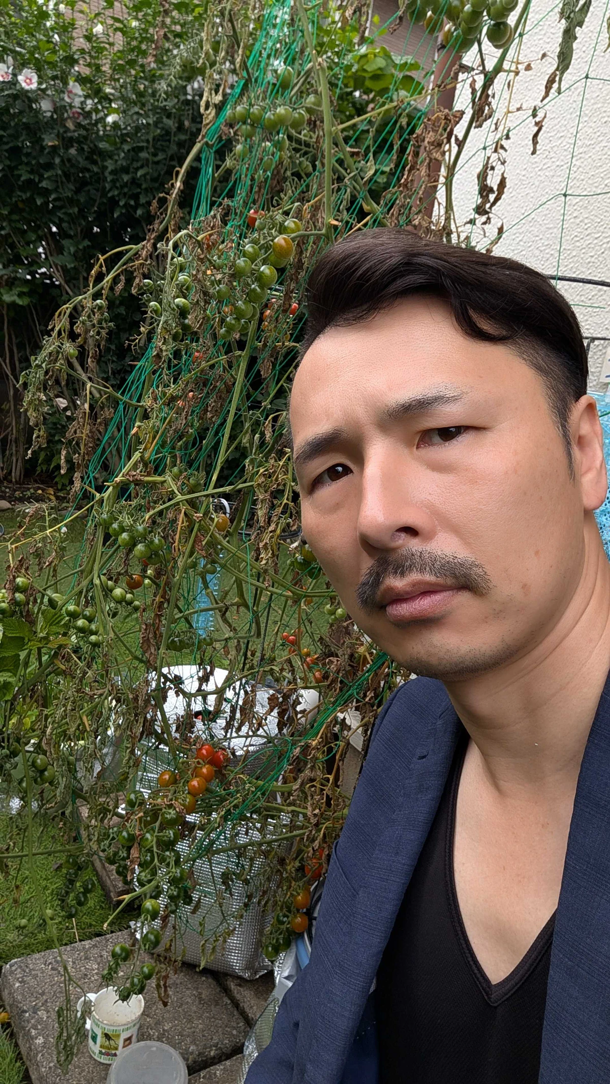 栽培写真