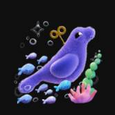 Seal splash