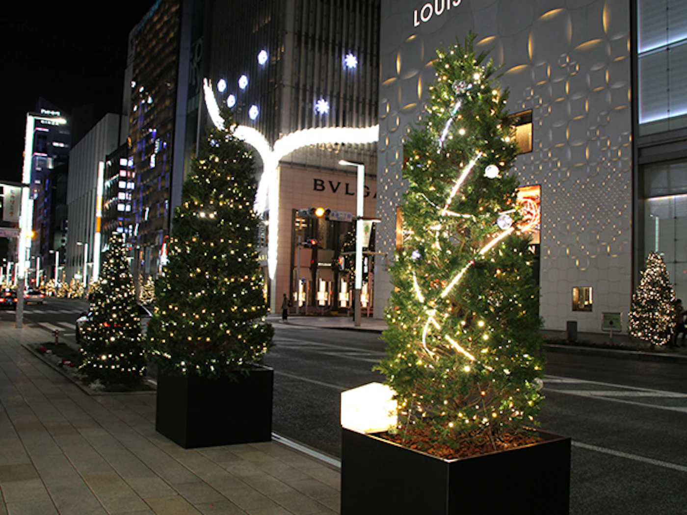 GINZA ILLUMINATION ヒカリミチ2015 ～樹がつなぐ未来～