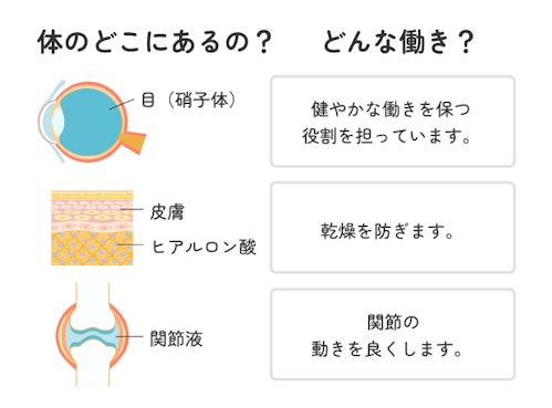 ヒアルロン酸は私たちの体の中の働き者