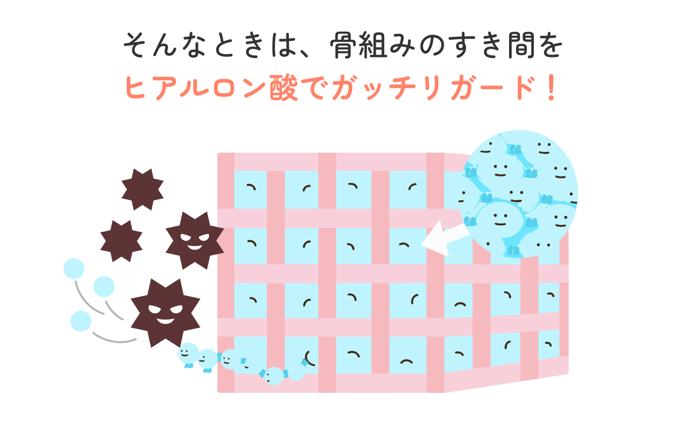 ヒアルロン酸が肌の骨組みのすき間を埋めて活性酸素からガードする様子のイラスト