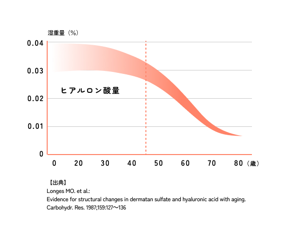 食べるヒアルロン酸が肌の潤いを保持するメカニズム