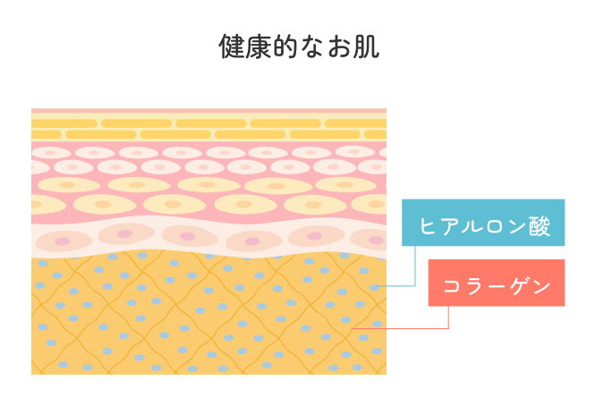 健康的なお肌
