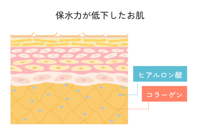 保水力が低下したお肌