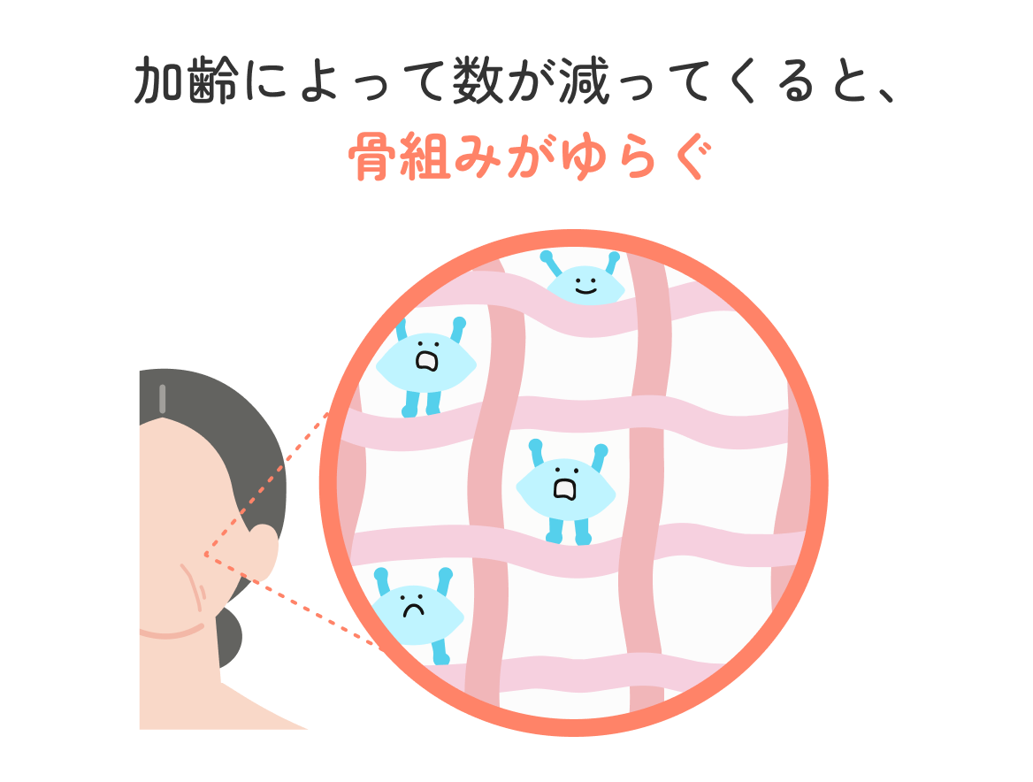 加齢でヒアルロン酸が減り、肌の骨組みがゆらぐ様子のイラスト