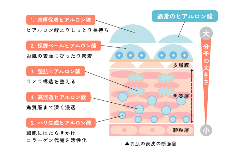 スキンケアとして塗るヒアルロン酸