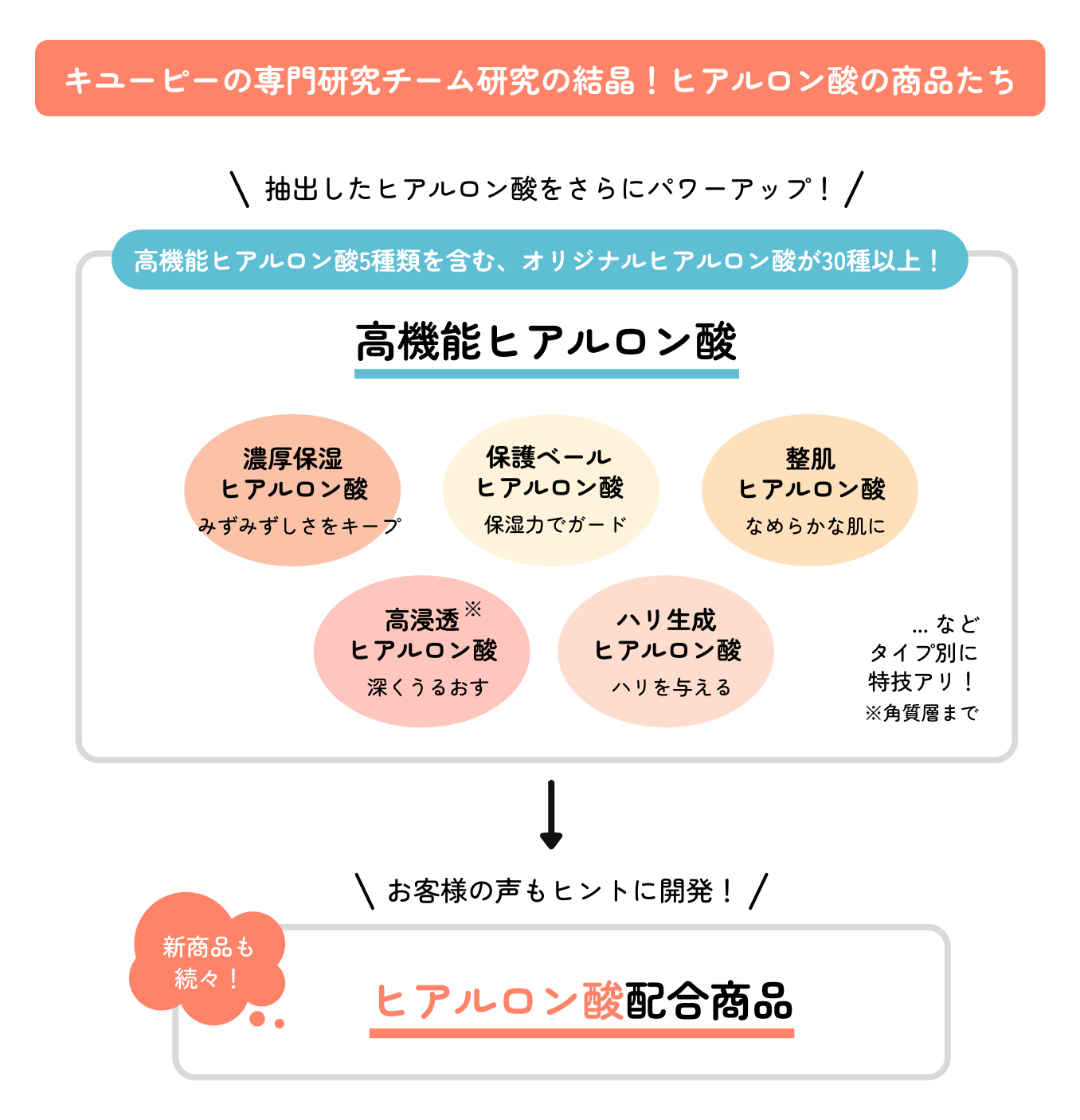 キユーピーの高機能ヒアルロン酸5種類と、それを配合した商品開発の流れを紹介した図