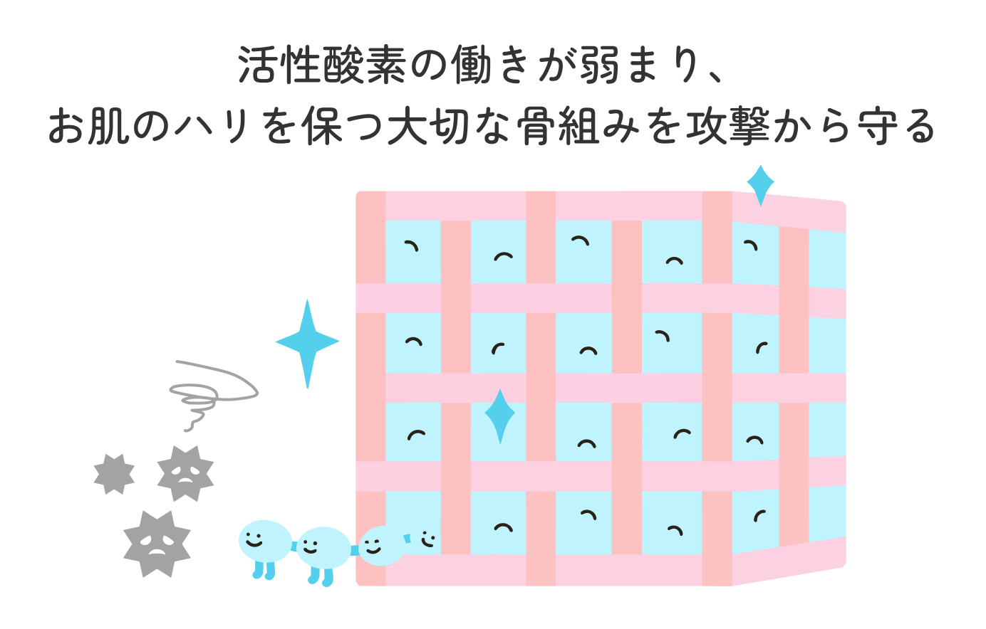 ヒアルロン酸が活性酸素を弱め、肌の骨組みを守る様子のイラスト