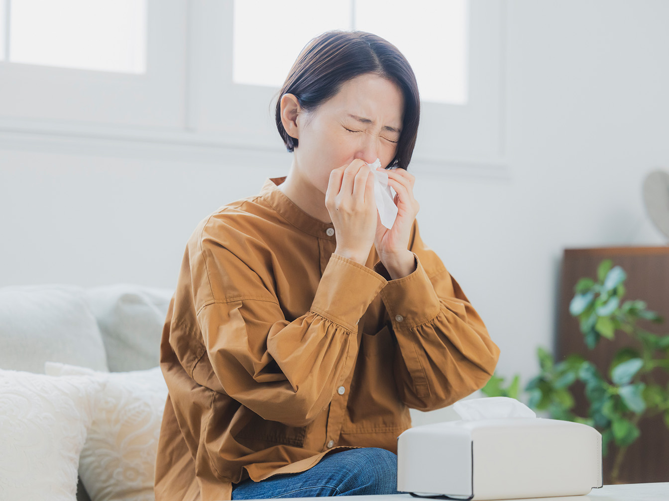 酢酸菌はホコリ・ハウスダストによる鼻グズ症状を改善