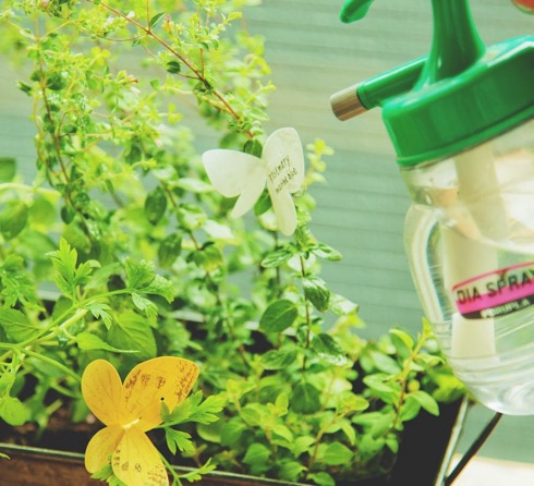 お花にメッセージを添えて。観葉植物のためのふせん【TAGGED for Garden】