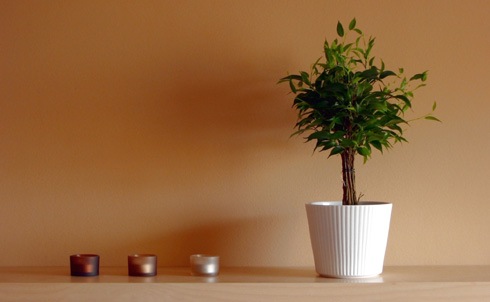 「捨てられない人」のために『捨てない整理術』を考えてみよう。