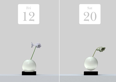 水が足りなくなると自動的に浮き上がってくるフラワーベース【Vaseball】