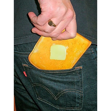 toastwallet03.jpg