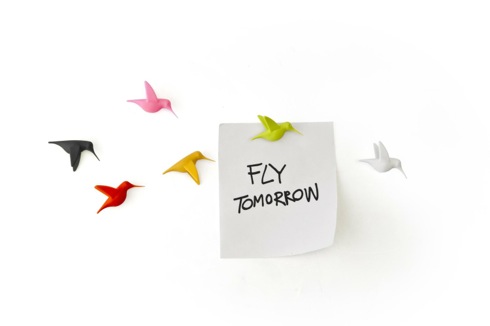 さえずりが聞こえてきそうな小鳥のマグネット【Hummingbird Message】