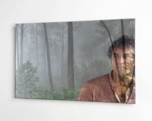 森に迷い込める鏡【Daydreams Mirrors】