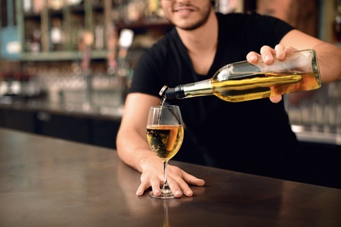 ワインのための溶けないつらら【CORKCICLE ONE】