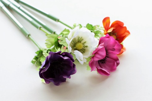 Bonboogbotanicalpen04