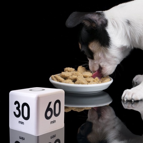 セットしたい時間を上にするだけ。シンプルなサイコロ型タイマー【DF-33】