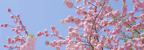 新生活に必要なものは？オトクな「新生活キャンペーン」を行っているインテリアショップまとめ