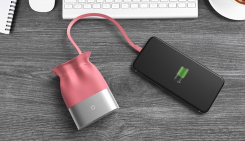 ポーチみたいなモバイルバッテリー【Omnio】