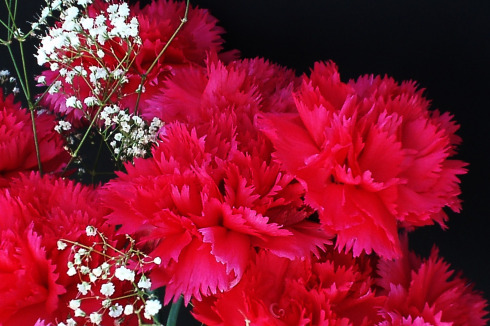 母の日のプレゼントの選び方（インテリア雑貨編）