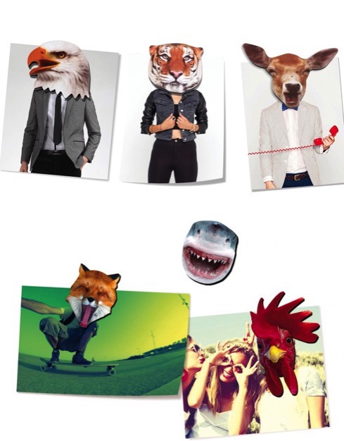 リアルすぎて怖い・・・動物のマグネット【JUNGLE MAGNETS】