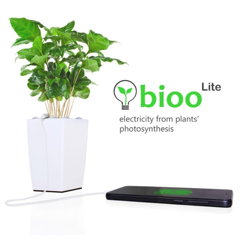 光合成でスマホを充電？ USB内蔵の植物ポット【Bioo】