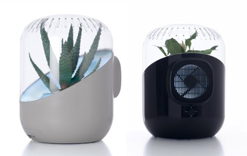 究極のエコ空気清浄機【Andrea】