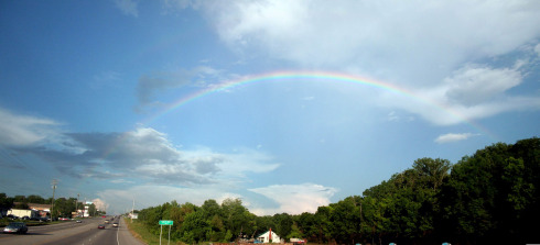 「梅雨」を楽しく乗り切れ！ユニークな『デザイン傘』をまとめてみました。