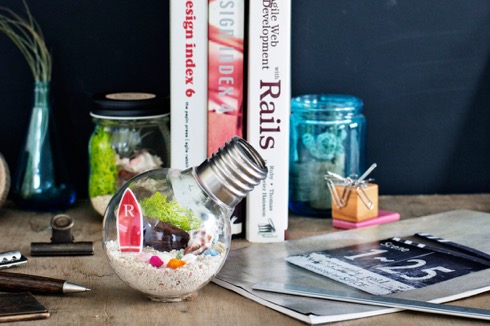 手先の器用なヒト向け？ 電球型のテラリウム【BULB TERRARIUM KIT】