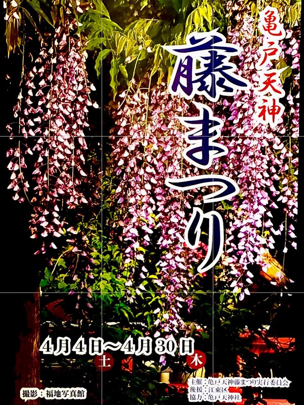 亀戸天神藤まつり 令和8年4月4日(土)から4月30日(木)まで | 亀戸梅屋敷