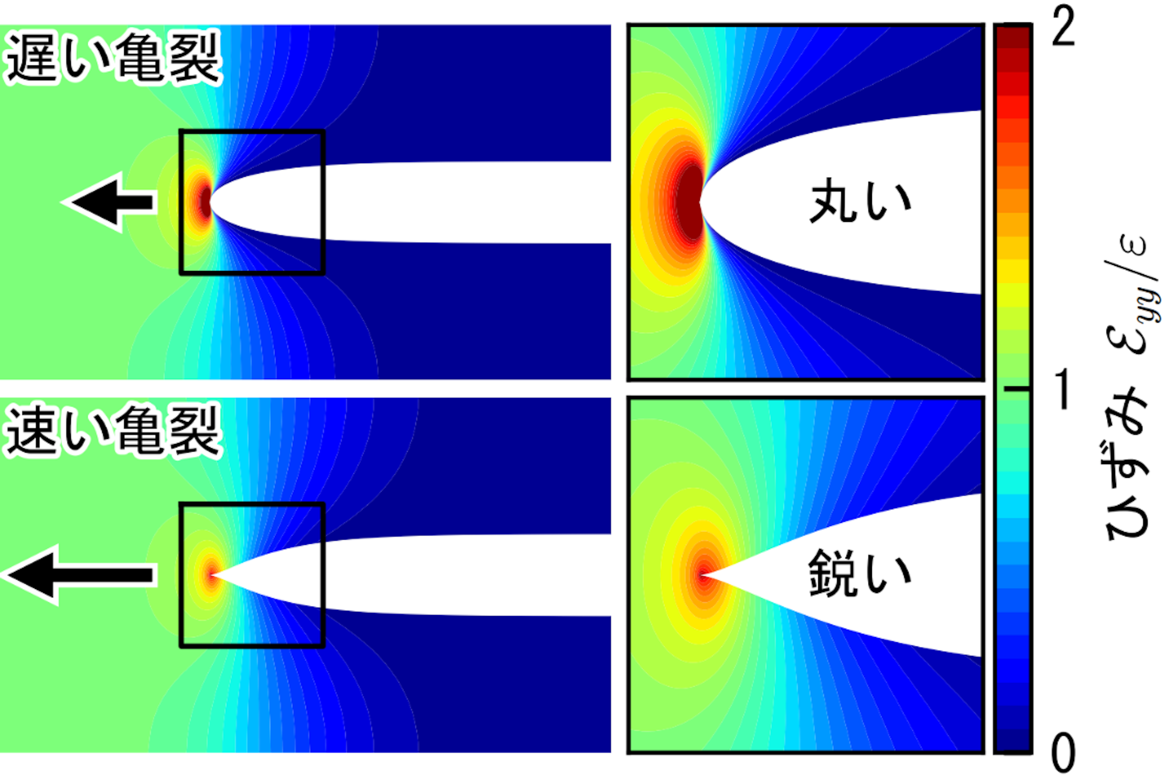 図1　亀裂の進展速度による亀裂先端形状の変化とひずみ分布