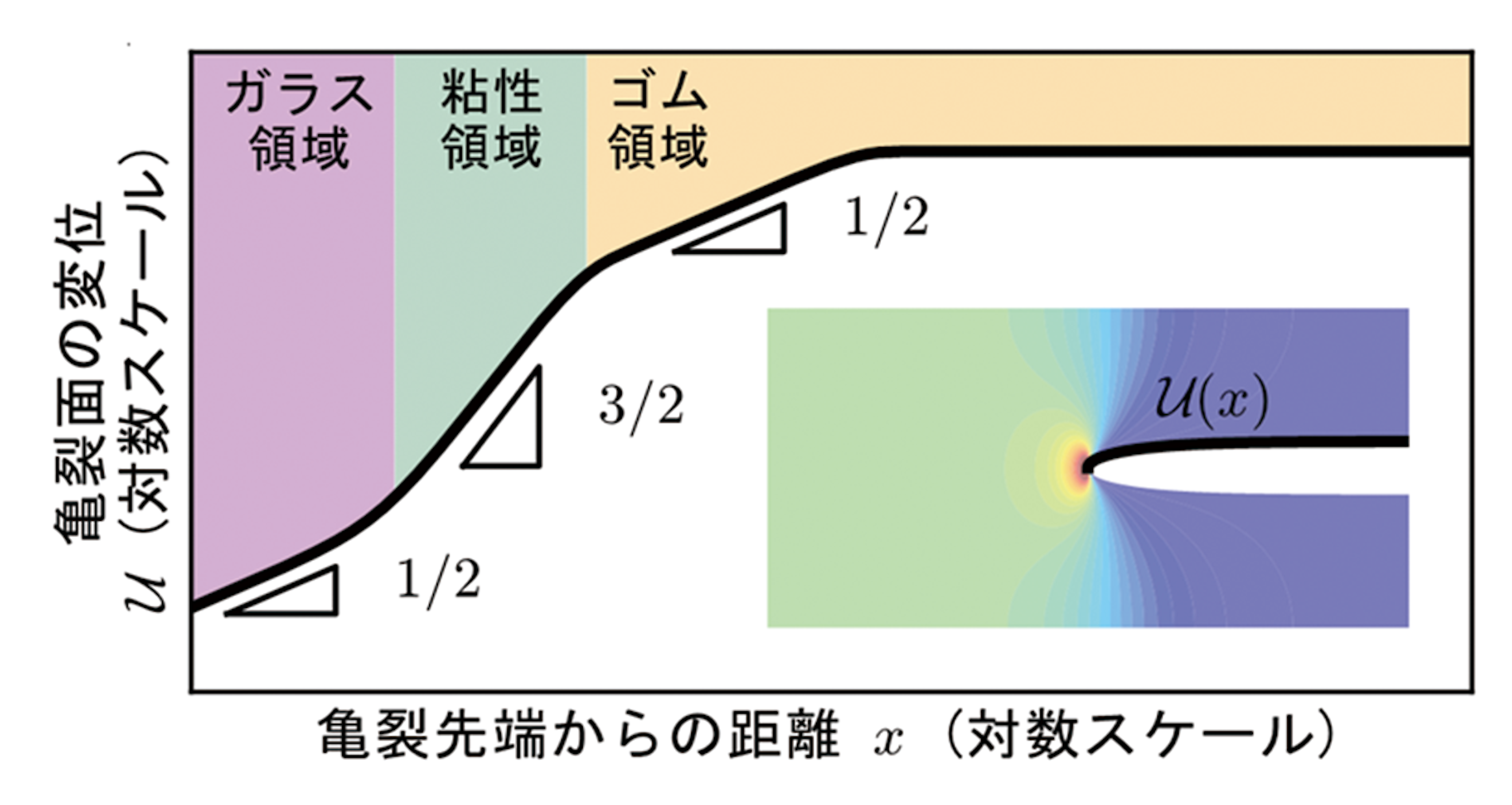 図2　数学的な解が明らかにした亀裂面の形状