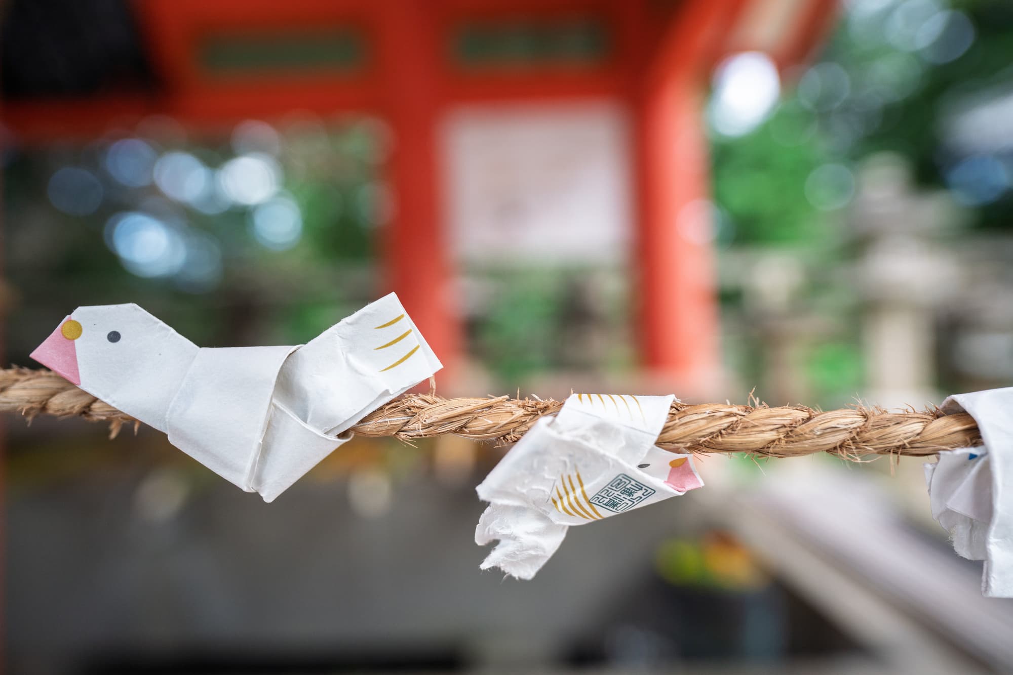 京都の最強勝負運神社おすすめトップ10！人気の神社ランキング | Prism 