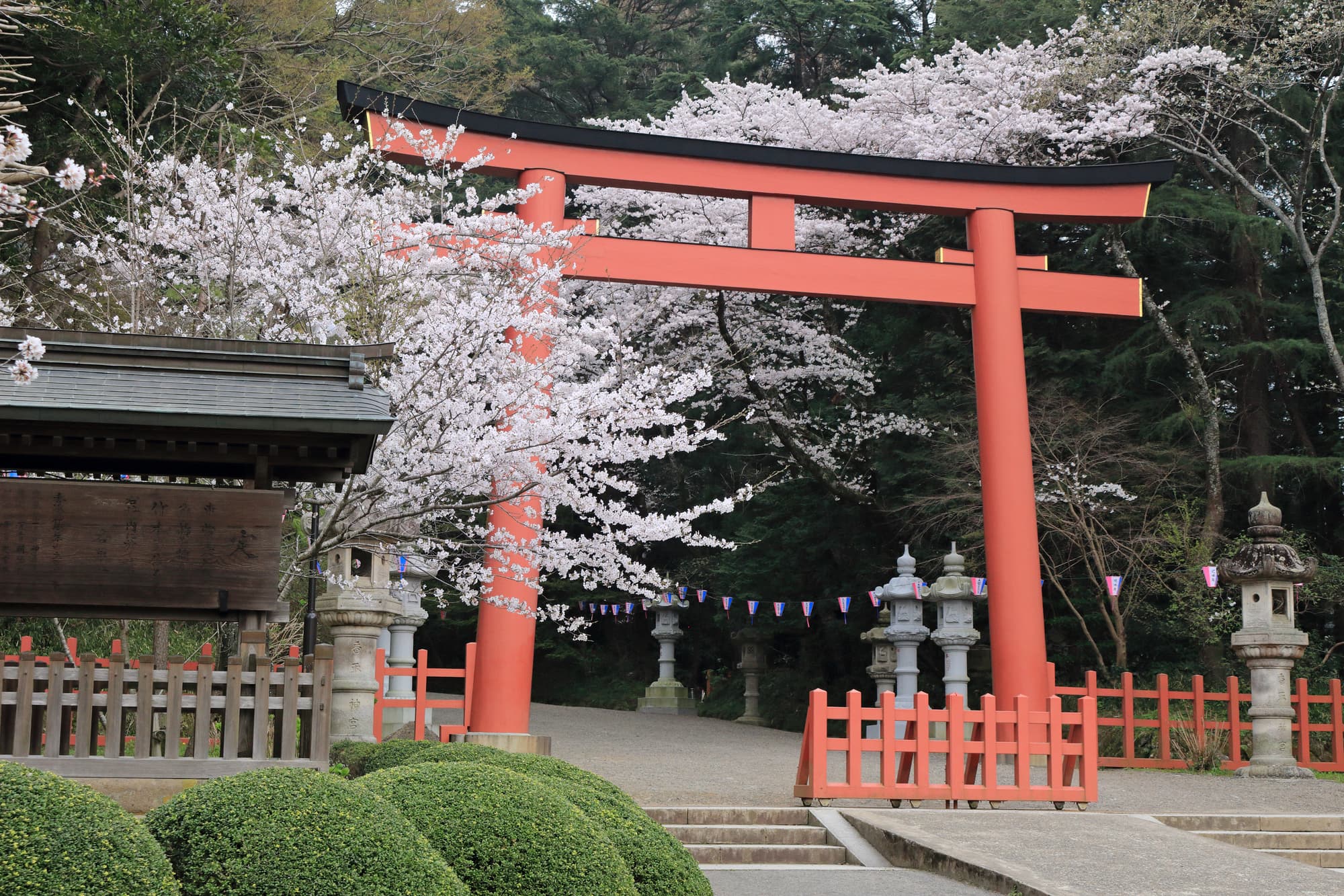 千葉の最強勝負運神社おすすめ6選！人気の神社をご紹介 | Prism Japan