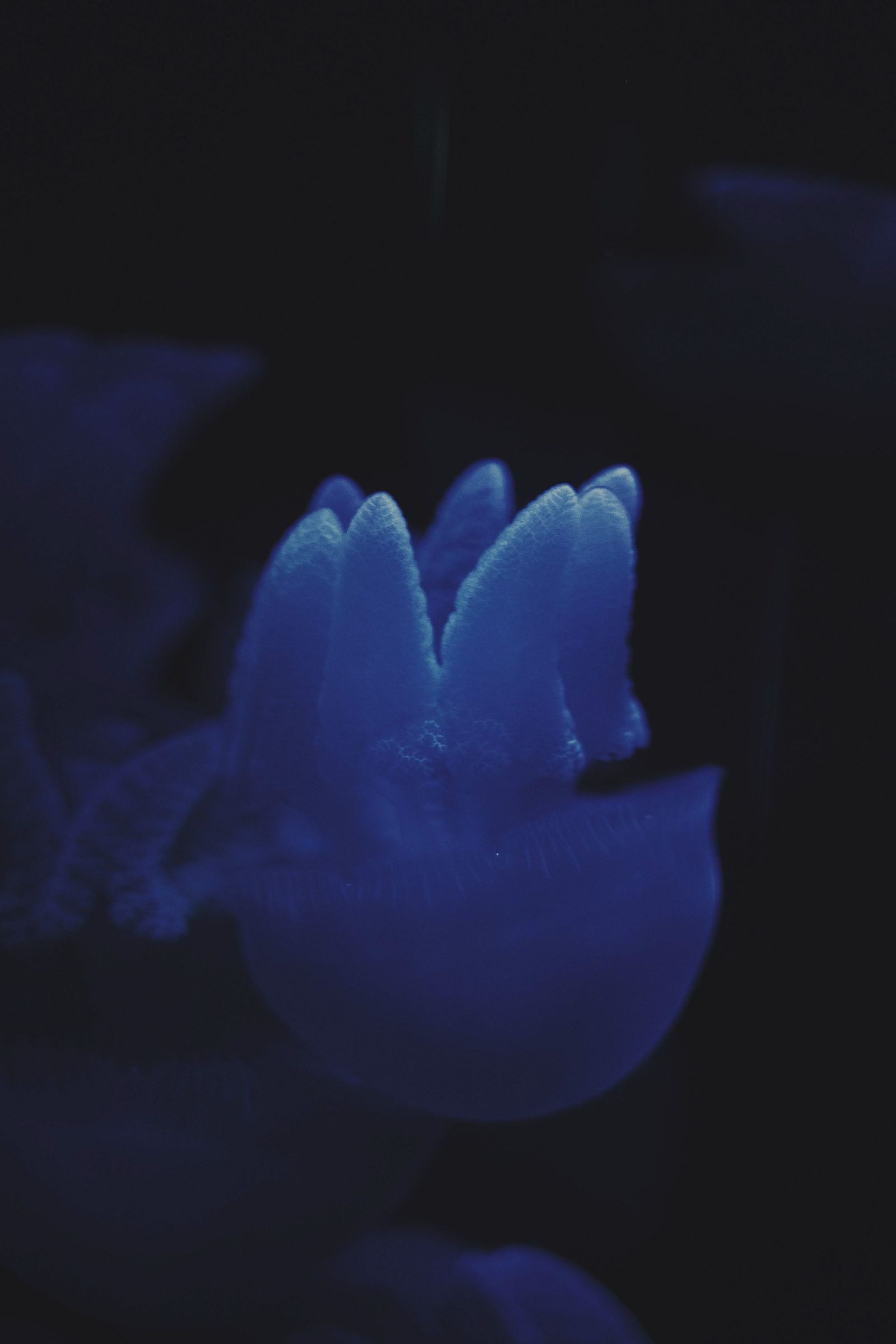undefined - 02