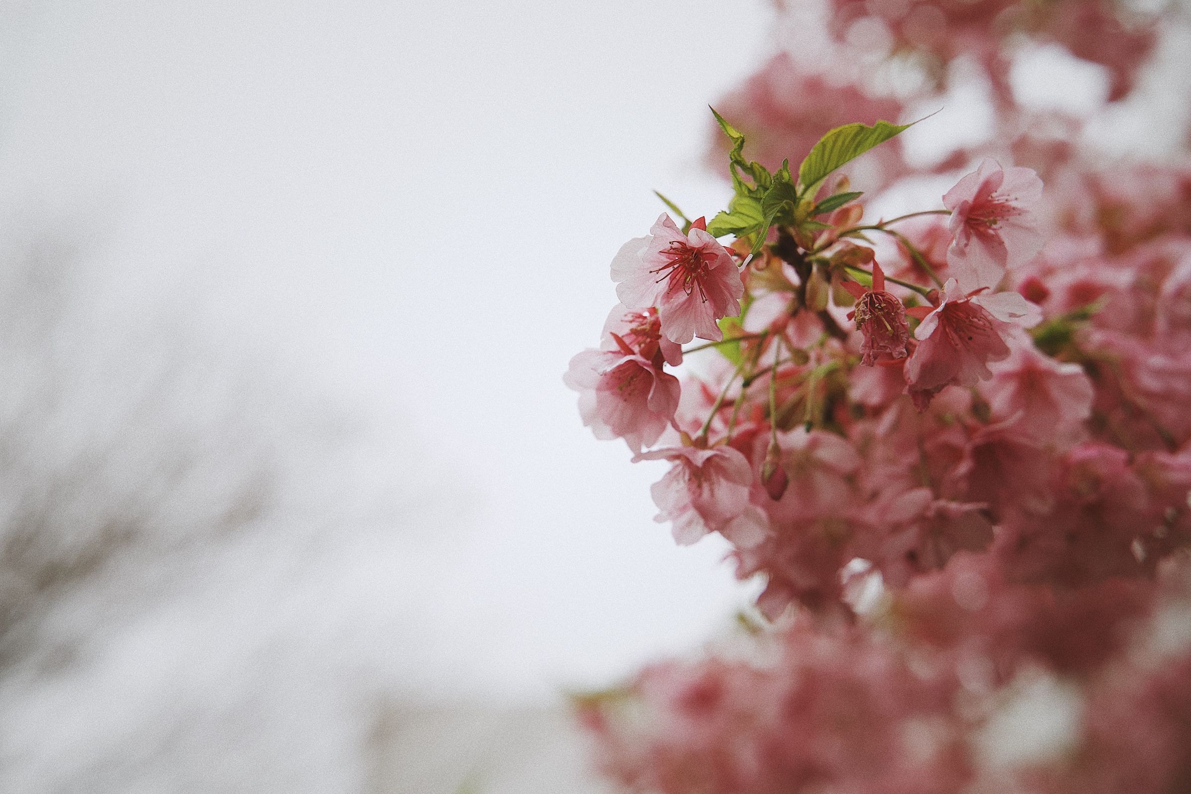 undefined - 02
