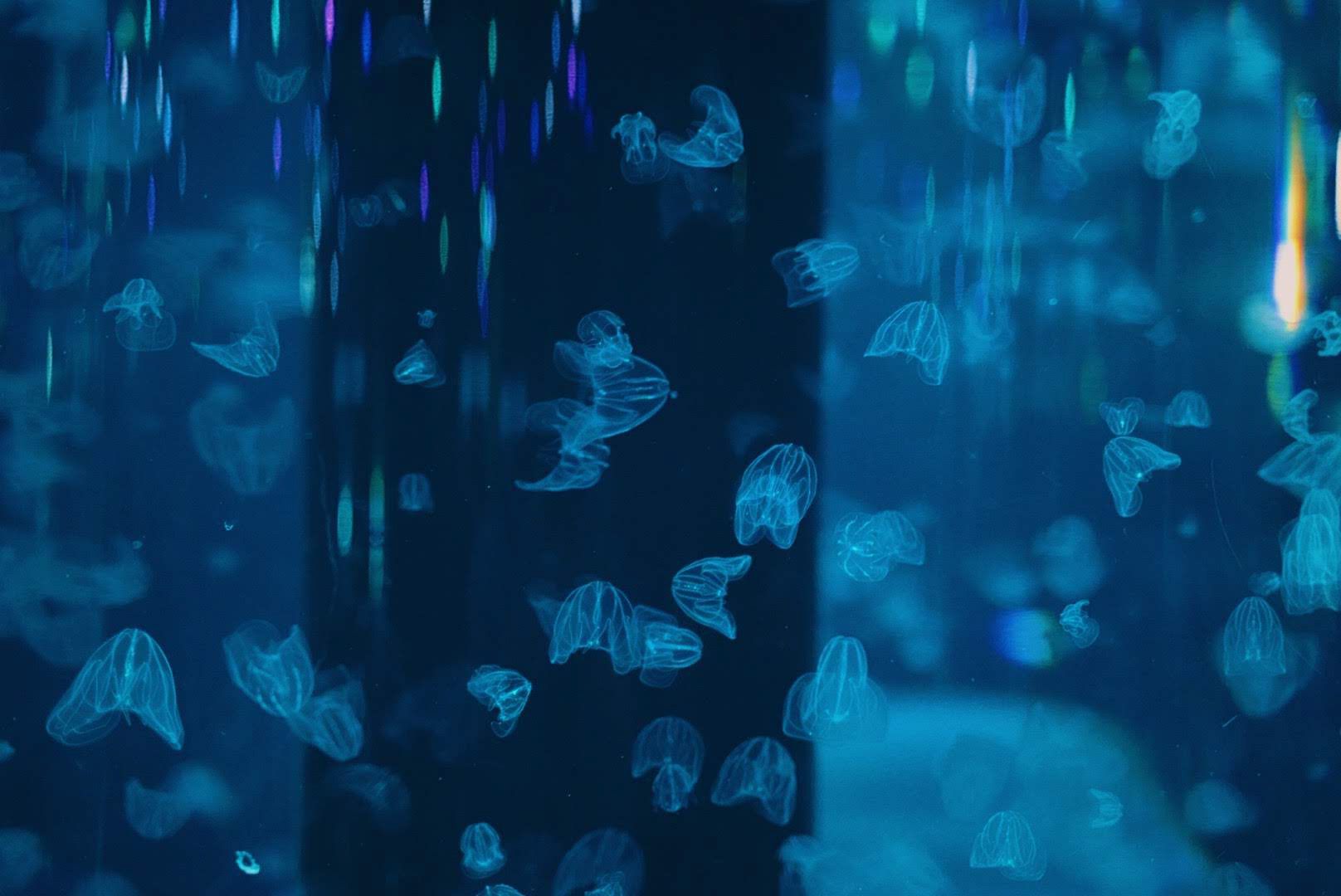 undefined - 01