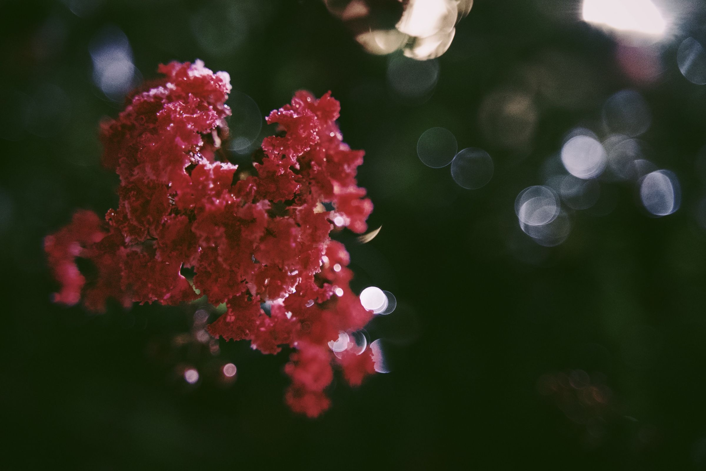 undefined - 01