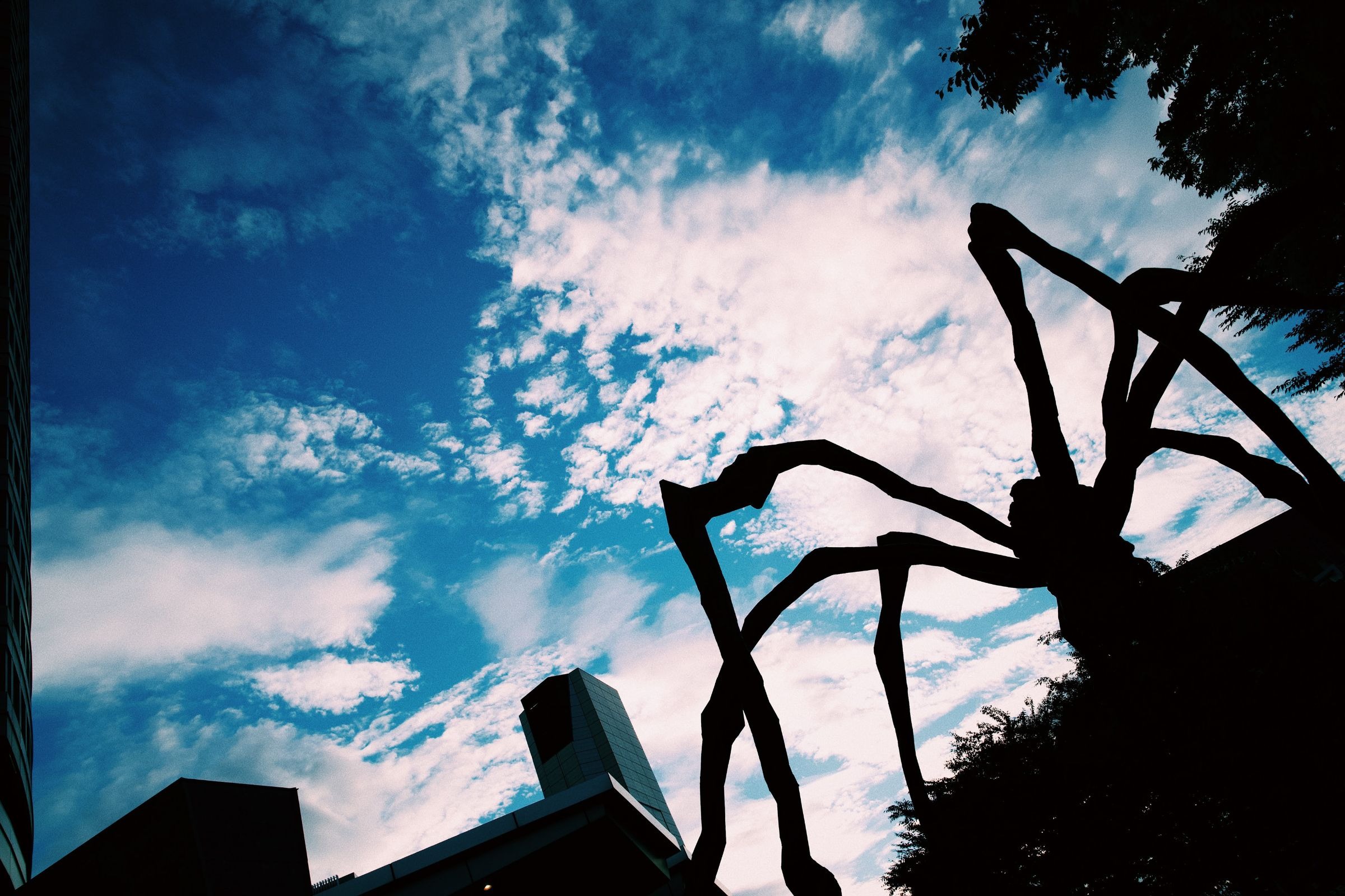 undefined - 01