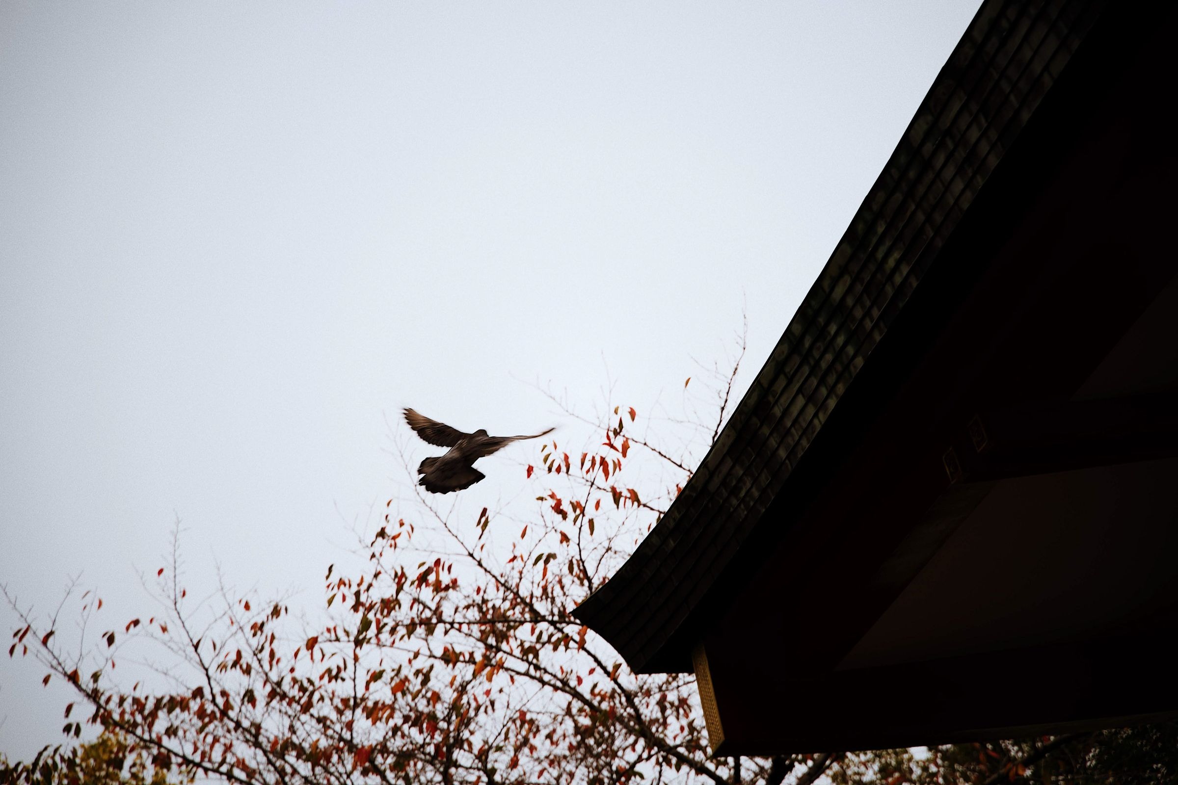 undefined - 01