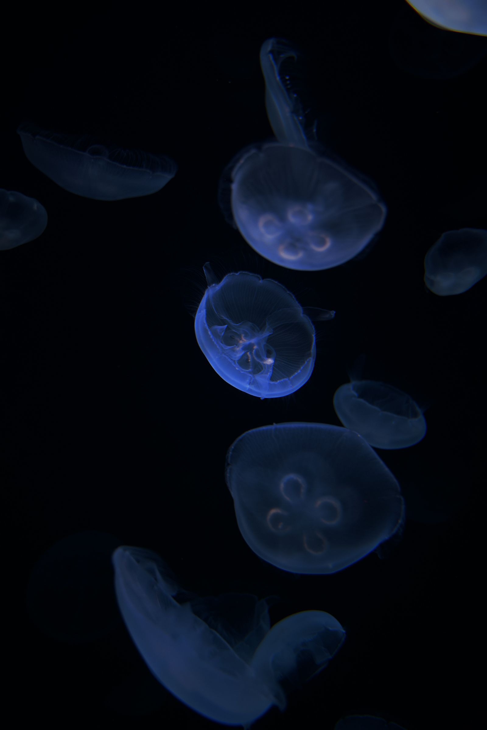 undefined - 01