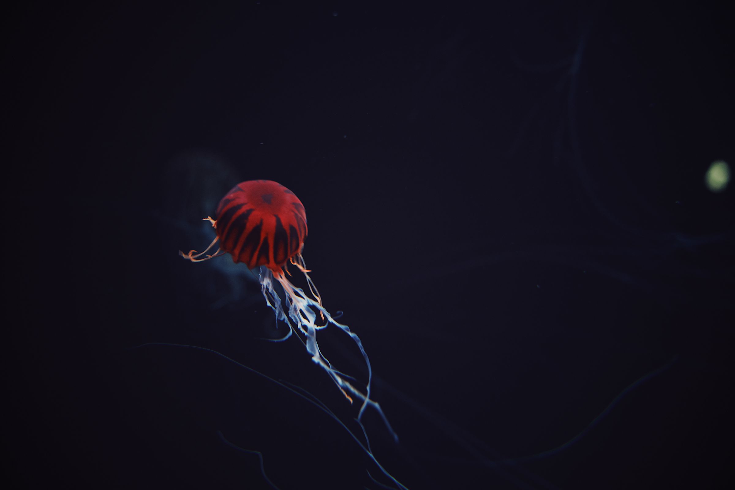 undefined - 02